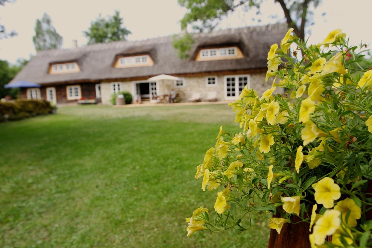 Metsara B & B Tornimae 외부 사진